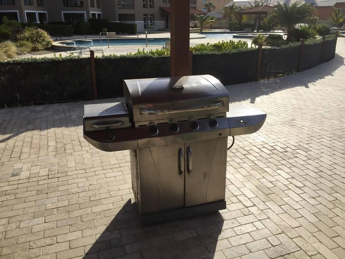 Casa vacanze Lovely Sea View,Eagle Beach, Oasis Condominium Wifi Palm Beach